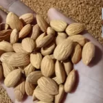 Fake Almonds or Real Almonds