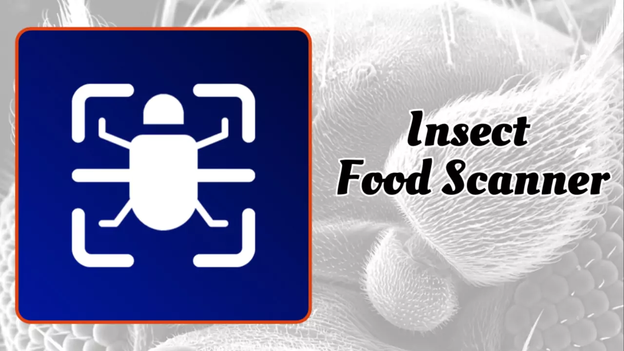 Insect Food Scanner insects in food