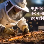 bee farming business idea madhumakhi palan