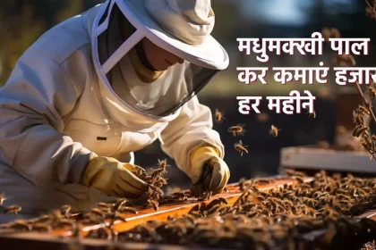 bee farming business idea madhumakhi palan