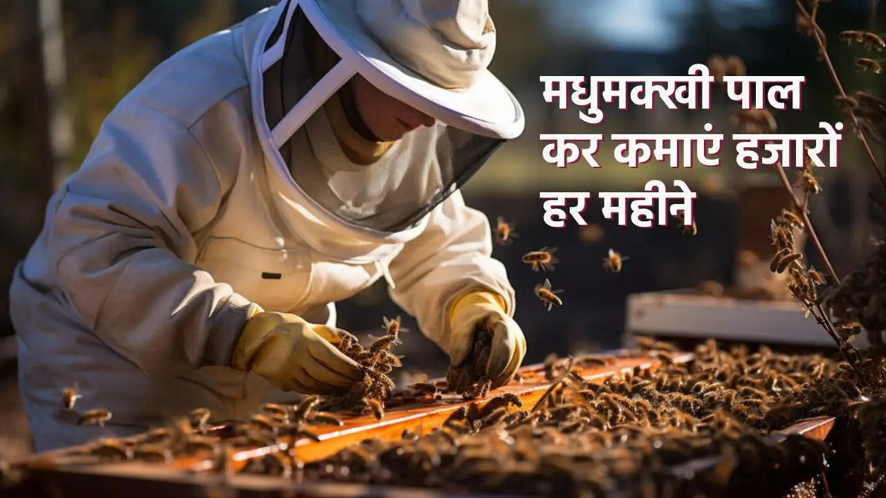 bee farming business idea madhumakhi palan