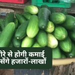 khire ki kheti tips