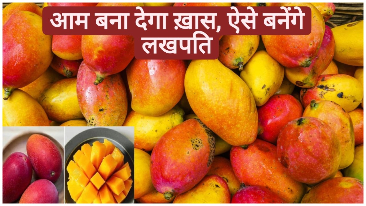 Aam Ki Kheti