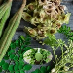 Moringa benefits