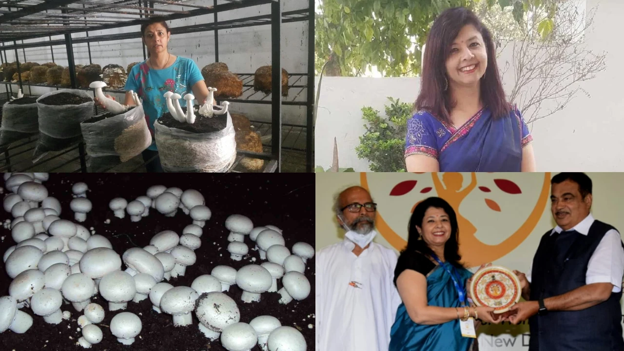 Mushroom Lady Hiresha Verma Dehradun, Hiresha Verma Dehradun Mushroom Lady, Inspirational Stories, Hiresha Verma, Hanzen International, Mushroom Farming, Mushrooms ki kheti, How to Sell Mushrooms, कैसे करें मशरूम की खेती, मशरूम खेती, मशरूम कैसे उगायें, मशरूम कैसे बेचें