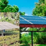 Alpex Solar IPO, Alpex Solar Share Listing, Alpex Solar Share Price, Alpex Solar IPO GMP, Alpex Solar Listing Gain,अल्पेक्स सोलर आईपीओ, अल्पेक्स सोलर शेयर लिस्टिंग, अल्पेक्स सोलर शेयर प्राइस, अल्पेक्स सोलर आईपीओ जीएमपी, Alpex Solar IPO Share Price