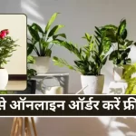 Free Plants Online by Delhi Sarkar