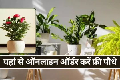 Free Plants Online by Delhi Sarkar