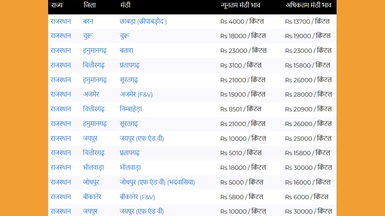 लहसुन का आज का मंडी भाव राजस्थान में क्या है?, 1 किलो लहसुन का आज का मंडी भाव राजस्थान क्या है?, राजस्थान में लहसुन का मंडी भाव, garlic, garlic safety, garlic security, garlic security and cctv camera, cctv camera and garlic crop, Farmers Safeguarding Garlic, Rajasthan leasun ka aaj ka bhav