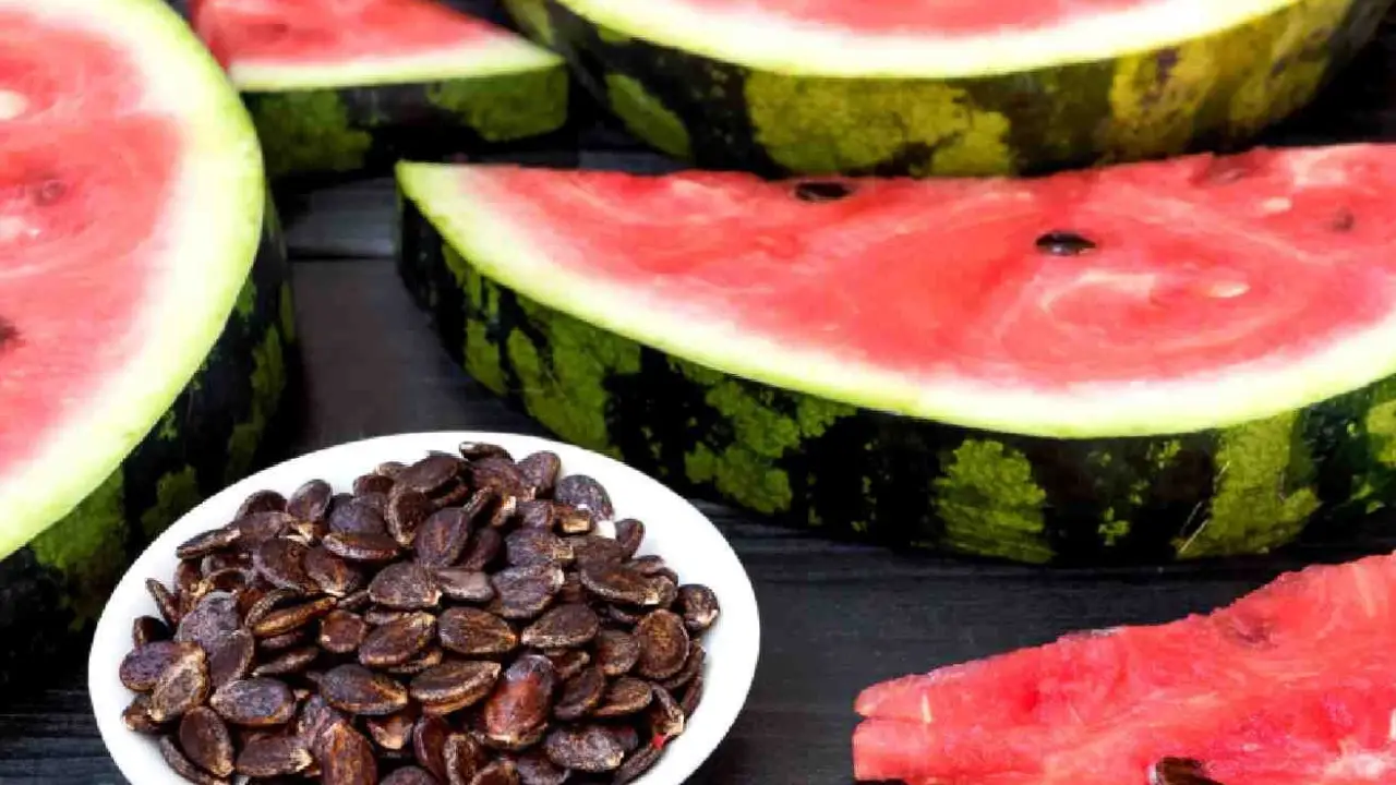 Watermelon Seeds Benefits